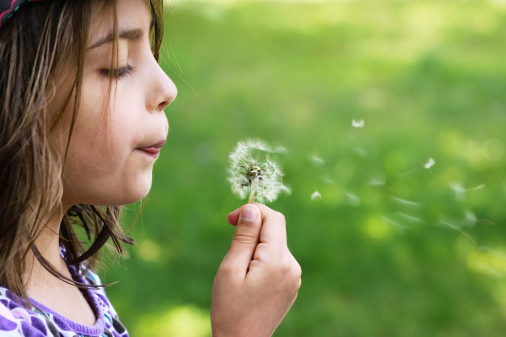 En 2024, STOCKMEIER France a signé la charte Relations Fournisseurs & Achats Responsables - charte RFAR.